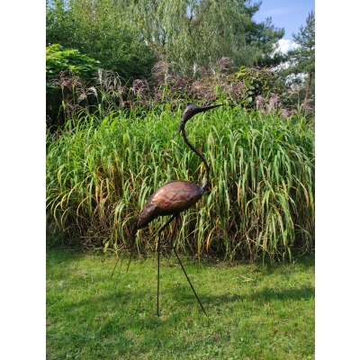 Żuraw rajski - wyprostowany  150 cm
